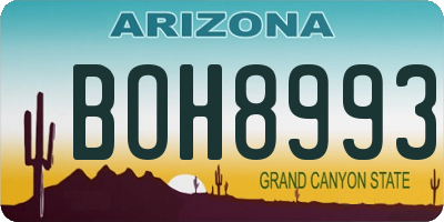 AZ license plate BOH8993
