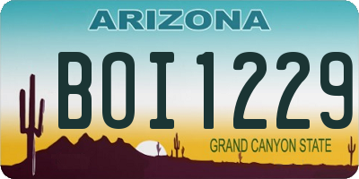 AZ license plate BOI1229