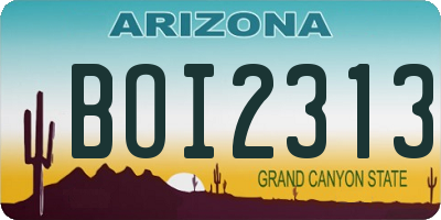 AZ license plate BOI2313