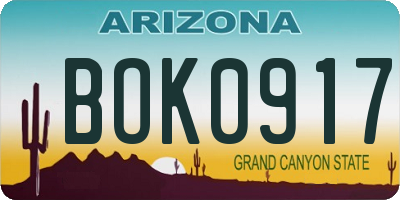 AZ license plate BOK0917