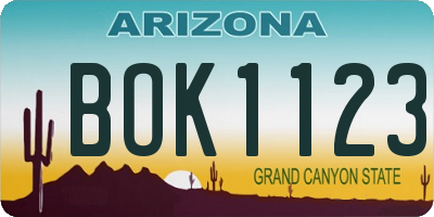 AZ license plate BOK1123