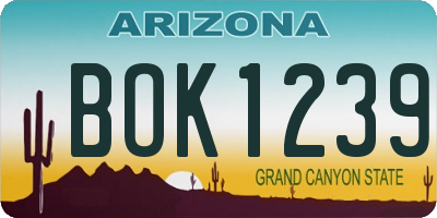 AZ license plate BOK1239