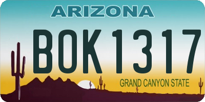 AZ license plate BOK1317