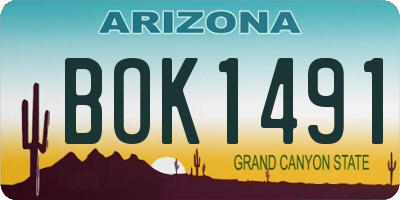 AZ license plate BOK1491