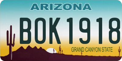 AZ license plate BOK1918