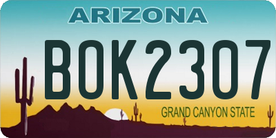 AZ license plate BOK2307