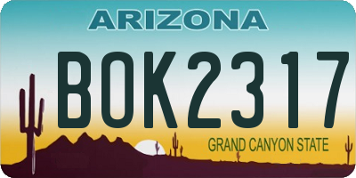 AZ license plate BOK2317
