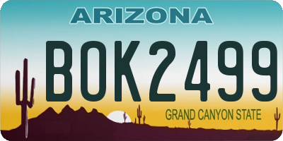 AZ license plate BOK2499