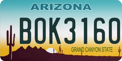 AZ license plate BOK3160