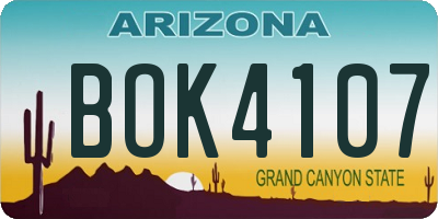 AZ license plate BOK4107