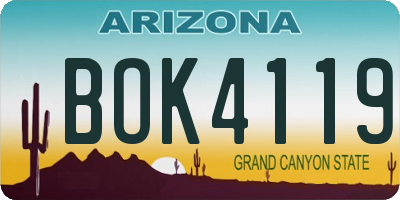 AZ license plate BOK4119