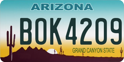 AZ license plate BOK4209