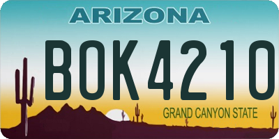 AZ license plate BOK4210
