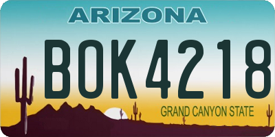 AZ license plate BOK4218