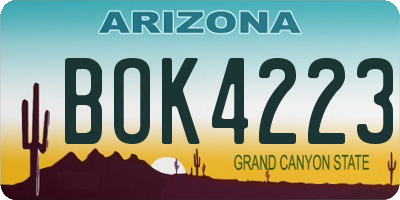 AZ license plate BOK4223