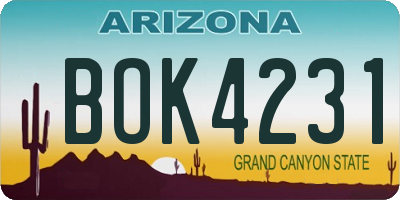 AZ license plate BOK4231