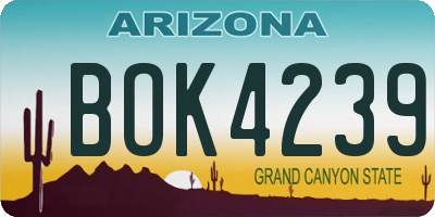 AZ license plate BOK4239