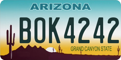AZ license plate BOK4242
