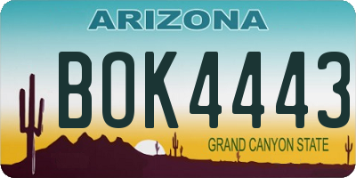 AZ license plate BOK4443