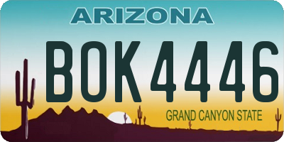 AZ license plate BOK4446