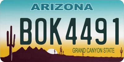 AZ license plate BOK4491