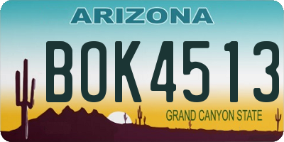 AZ license plate BOK4513