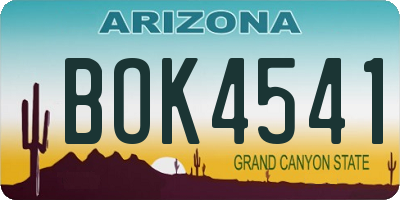 AZ license plate BOK4541