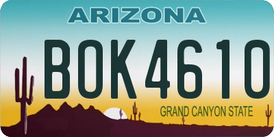 AZ license plate BOK4610