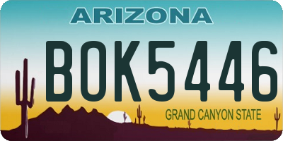 AZ license plate BOK5446