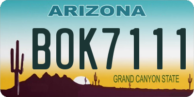 AZ license plate BOK7111