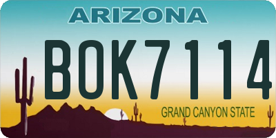AZ license plate BOK7114