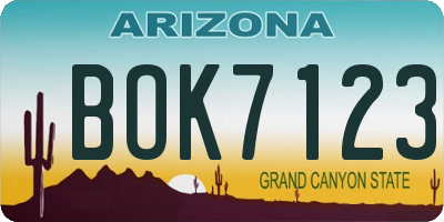 AZ license plate BOK7123