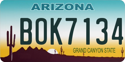 AZ license plate BOK7134