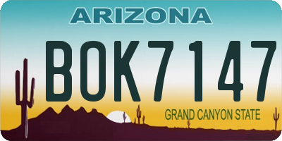 AZ license plate BOK7147