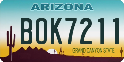 AZ license plate BOK7211