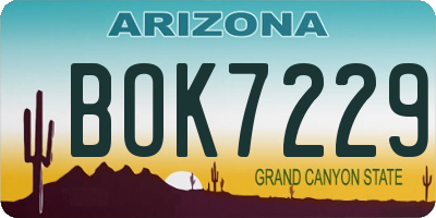 AZ license plate BOK7229