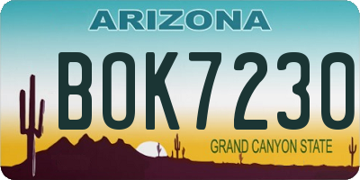 AZ license plate BOK7230