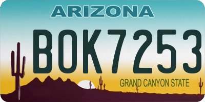 AZ license plate BOK7253