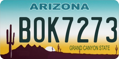AZ license plate BOK7273