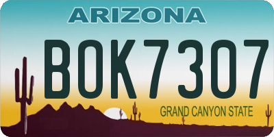 AZ license plate BOK7307