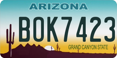 AZ license plate BOK7423