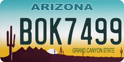 AZ license plate BOK7499