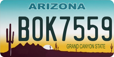 AZ license plate BOK7559