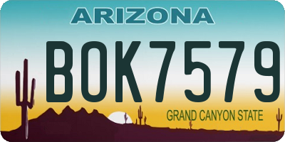AZ license plate BOK7579