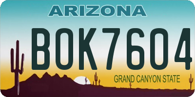 AZ license plate BOK7604