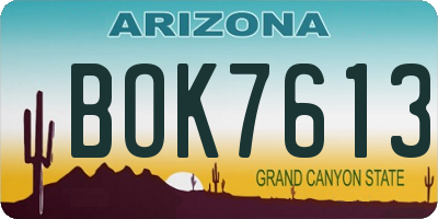 AZ license plate BOK7613