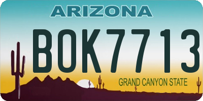 AZ license plate BOK7713