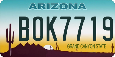 AZ license plate BOK7719