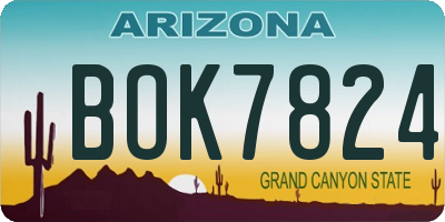 AZ license plate BOK7824