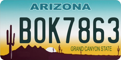 AZ license plate BOK7863